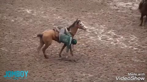Buzkashi, the sport that uses dead goats as the ball, a breakdown