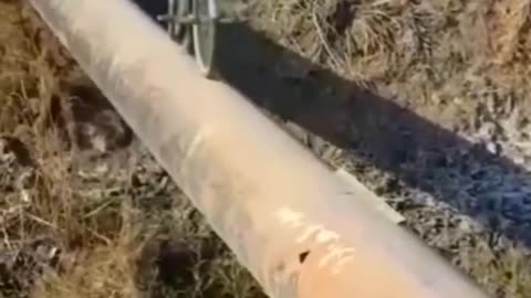 Best funny Video of the day
