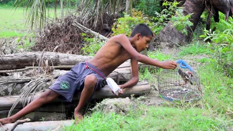 Child Feeding a Bird on a Cage