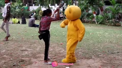 Teddy Bear Funny Dance