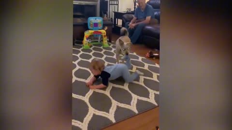 Cute Babies Playing With Cats and Dogs Part 2