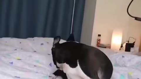 #Funny videos