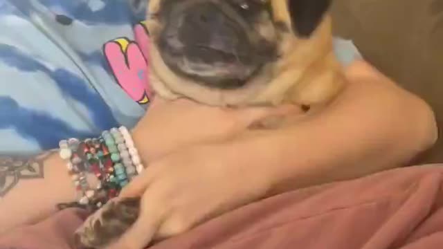 Tears from this one.