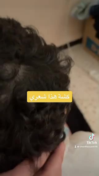 Il refuse d’aller au coiffeur