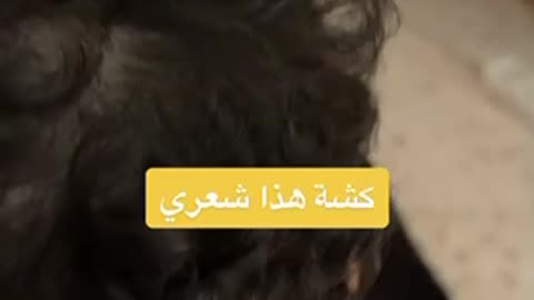 Il refuse d’aller au coiffeur