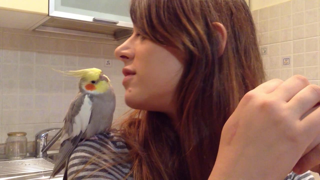 Jonny & Erika: A Love Full of Little Kisses!
