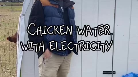 Freeze Proof Chicken Water