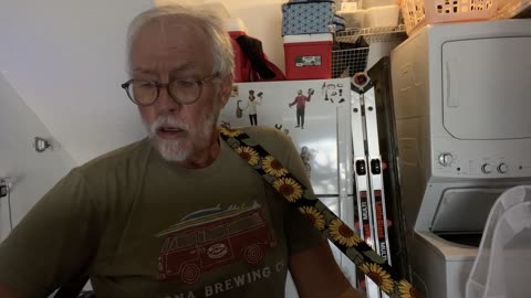 1965: Playing Guitars in the bathroom- Darling be Home Soon by the Lovin’ Spoonful