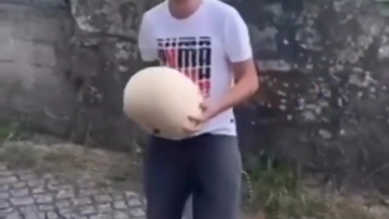 "You Laugh, You Lose: Hilarious Vegetable Mishaps! #viral #shorts #funny #fails"