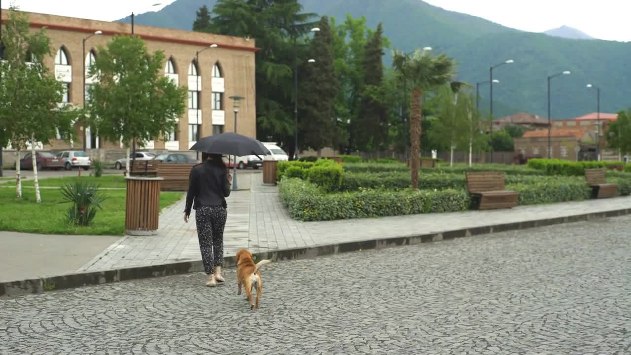 young woman with umbrella walks with the dog