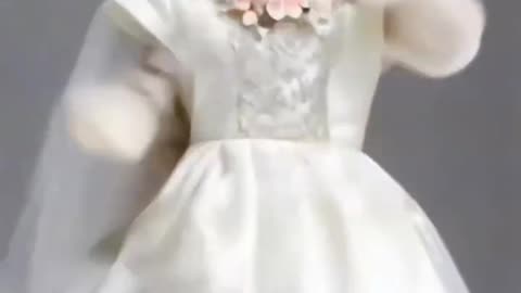 Cat dance video superhit dance video