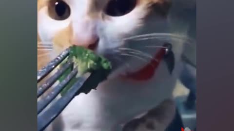 Tasty ? :D