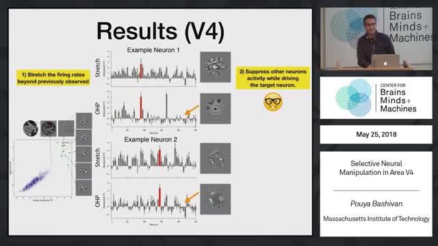Selective Neural Manipulation ... Really!