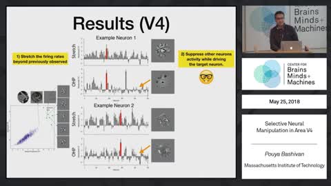 Selective Neural Manipulation ... Really!