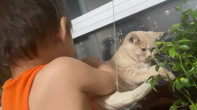 Children have a great influence on a cat's mood
