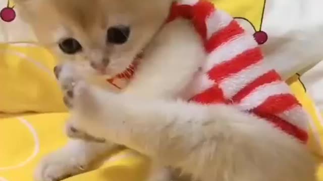 ❤️❤️