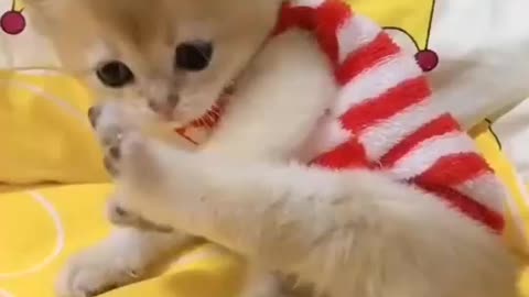 ❤️❤️