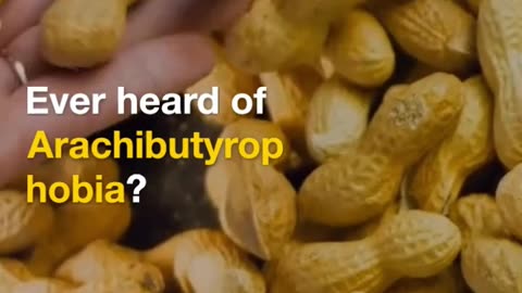 Arachibutyrohobia