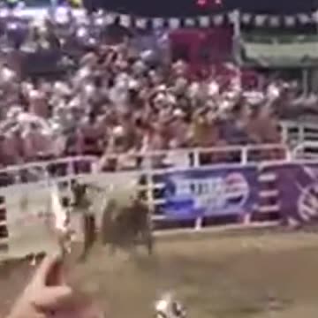 Bull Jumps into Crowd, Causing Panic and Pain
