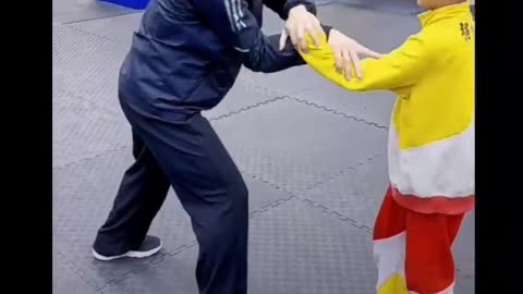 #Chinese Kung fu families