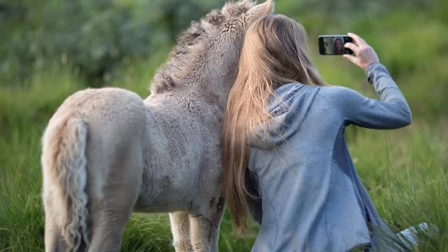 Some memorable pics from our diary bye horse riding