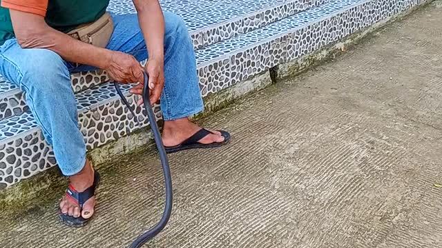 PARENTS CARE TO CONTROL SNAKES