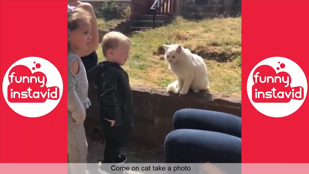 FUNNY KIDS VIDEO COMPILATIONS