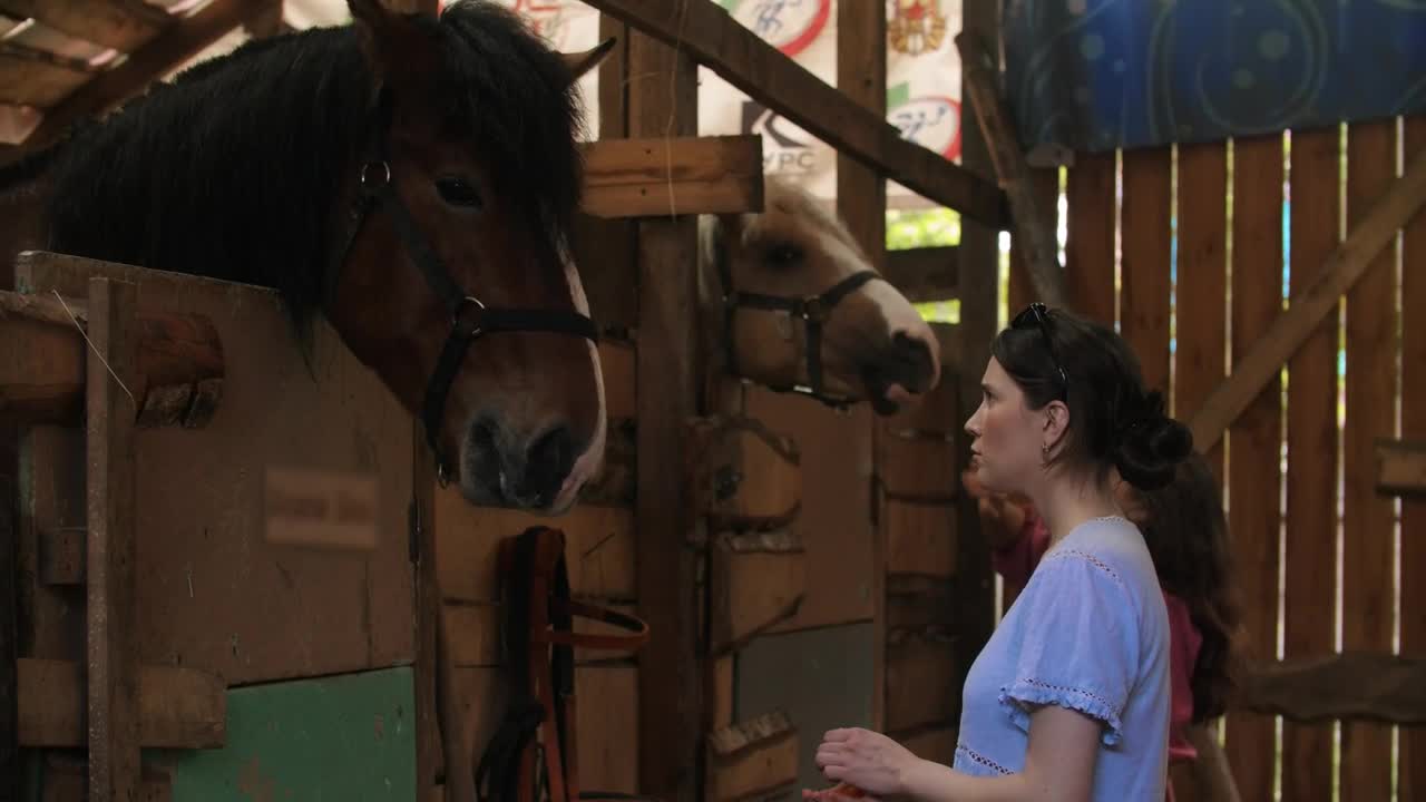 Gorgeous young women breastfeeding horses in the stable