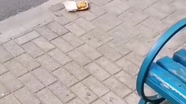 看到了嗎？？狗狗告訴你……這牌子生產的東西，不能吃！！真，不能吃！！