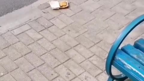 看到了嗎？？狗狗告訴你……這牌子生產的東西，不能吃！！真，不能吃！！