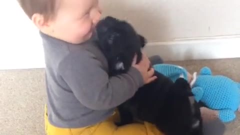 Cute baby and funny dog videos