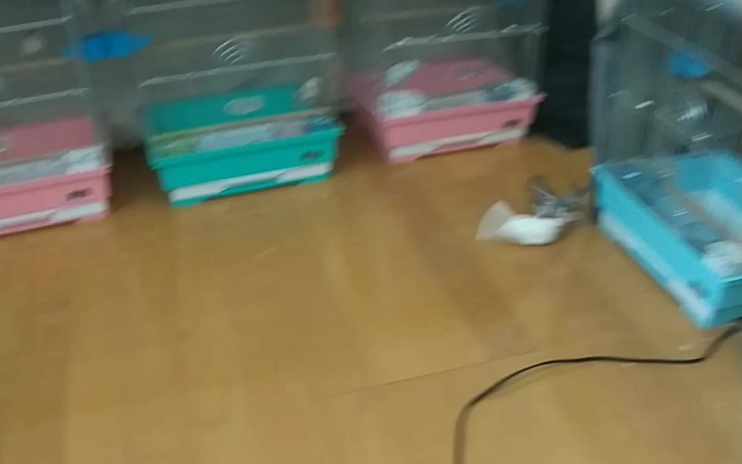 仲良くできる？