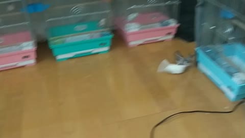 仲良くできる？