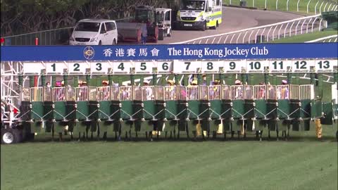 Horse_Race_2022052504_English