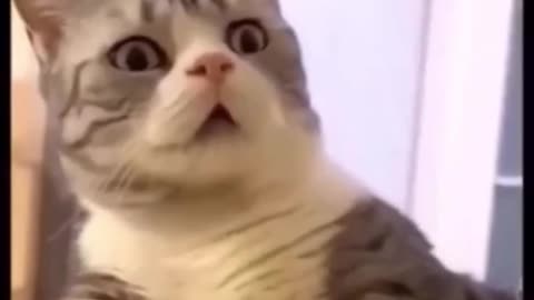 😂😂😂😂😂😂