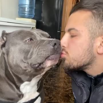 funny|prank|jokes|funny jokes|dad jokes|funny memes|funny video|fun|laughing|funny animal|knock