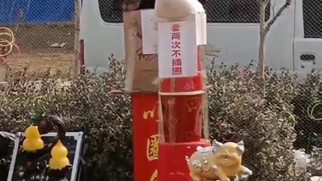 What can a goose do besides bite ? 004