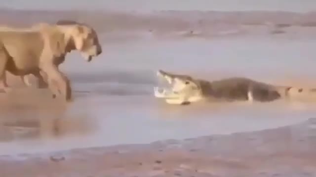 3 against 1