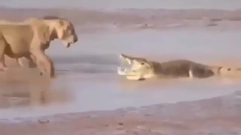 3 against 1