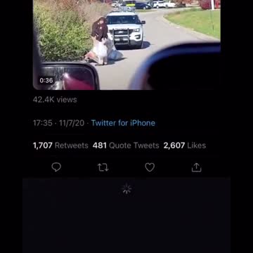 BAGS of BALLOTS found TOSSED/HIDDEN on overgrown property