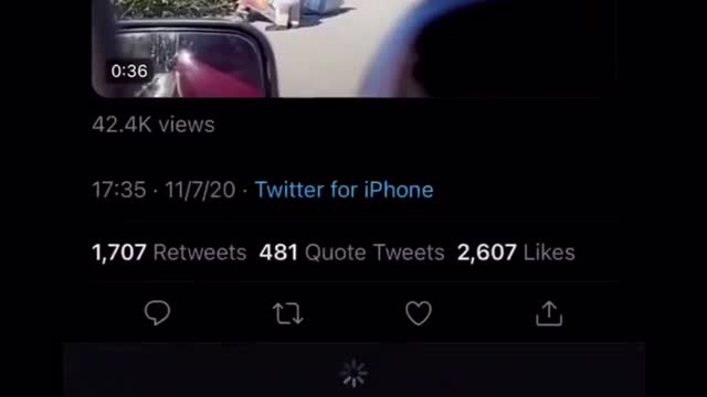 BAGS of BALLOTS found TOSSED/HIDDEN on overgrown property