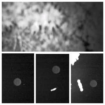 A Single Orb Passing in The night