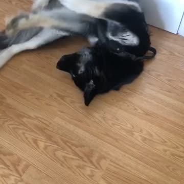 Sophie Sucks Her Thumb