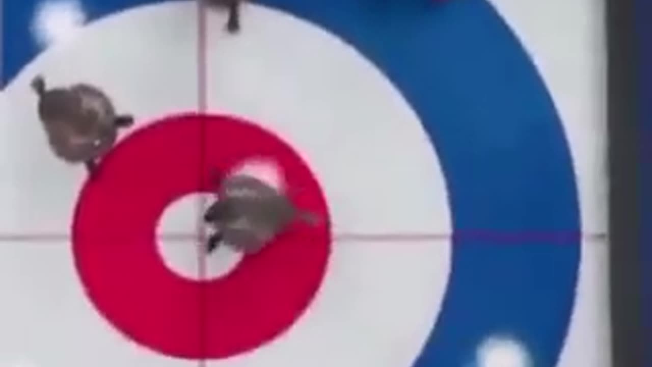 Amazing Guidance And Support #shorts #shortsvideo #video #viral