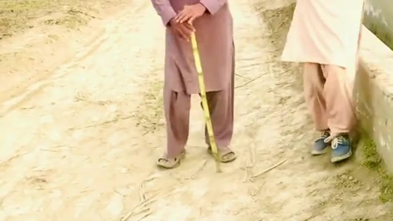 Funny video 123