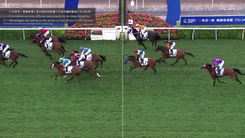 Horse_Race_2022052211_English