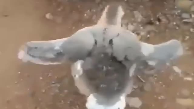 In a group of friends, there will be someone like that