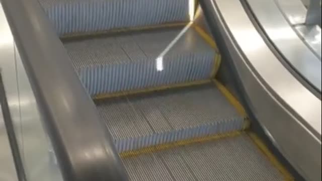 The Escalator with Snake & Ladder - Not Really - Watch What's is This?