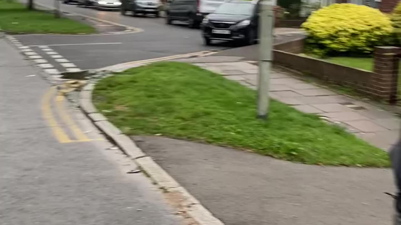 Matt...