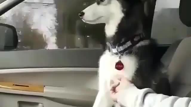 The weekend outing